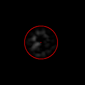 image52